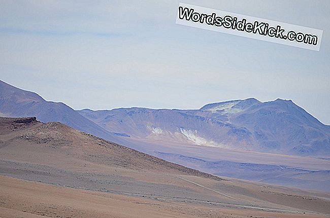 世界の最も乾燥した砂漠はどんな感じか