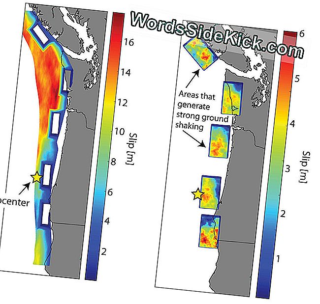 Ce serait pire pour Seattle si l'épicentre d'un séisme de magnitude 9,0 touchait au large des côtes mais envoyait des ondes sismiques à l'intérieur des terres, comme le montre cette simulation.