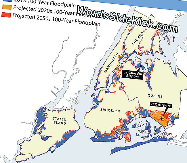 Este mapa de la ciudad de Nueva York muestra las áreas más afectadas por las inundaciones relacionadas con el cambio climático.