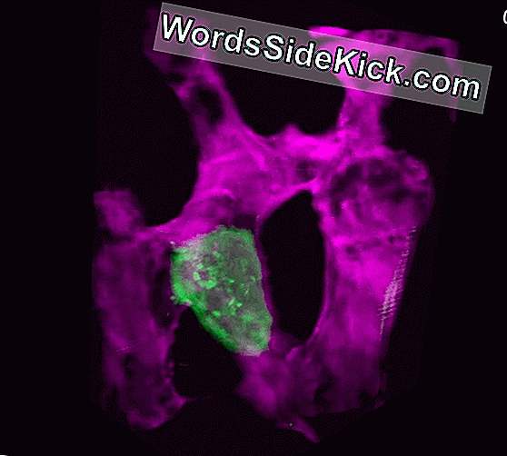 My Image 37