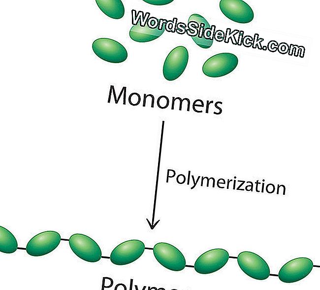 Durante una reazione di polimerizzazione, un gran numero di monomeri viene collegato mediante legami covalenti per formare una singola molecola lunga, un polimero.