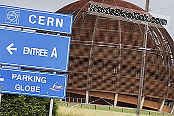 Ši didelė medinė konstrukcija žymi įėjimą į CERN dalelių greitintuvo įrenginį.