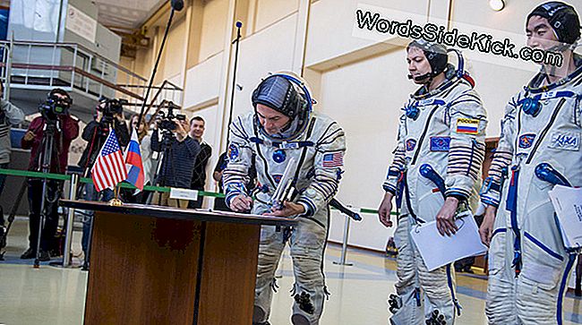 10 Iznenađujućih činjenica o treningu astronauta: iznenađujućih