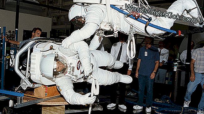 10 Iznenađujućih činjenica o treningu astronauta: izvor