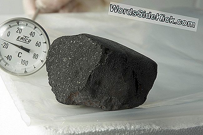 Ułamek meteorytu, który wylądował w obszarze jeziora Tagish w 2000 roku.
