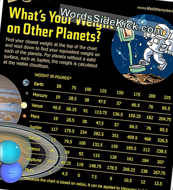 Hoeveel Zou U Op Andere Planeten Wegen 2024 Planeet Aarde