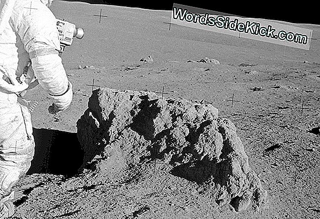 Moon Dust Is Supervergiftig Voor Menselijke Cellen