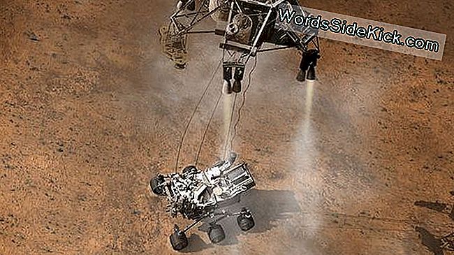 Nasa Marking Historic Mars Rover Landing With Flurry Of Events - 2021 | Planeta Země