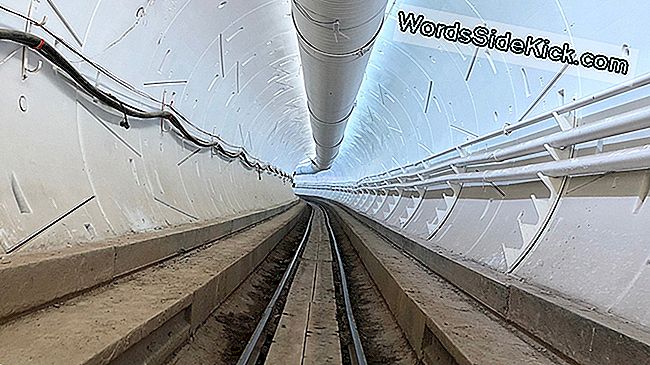 Вози на Hylon Hyperloop Elon Musk през декември